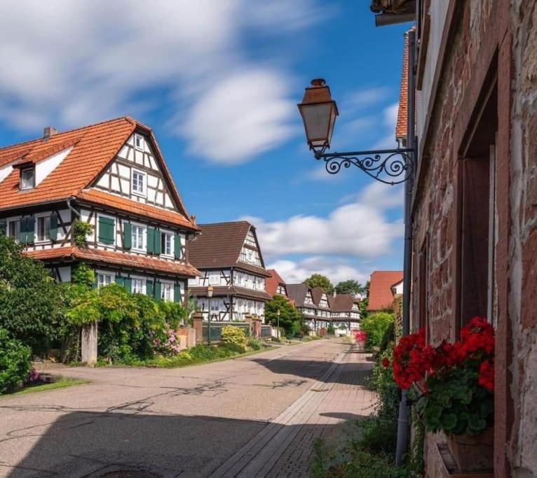Au Petit Nid De Seebach Kültér fotó