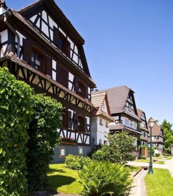 Au Petit Nid De Seebach Kültér fotó